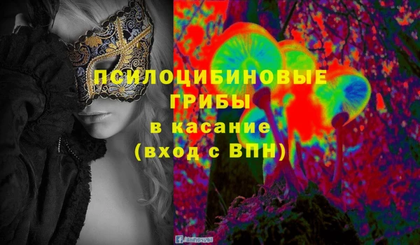амф Каменногорск