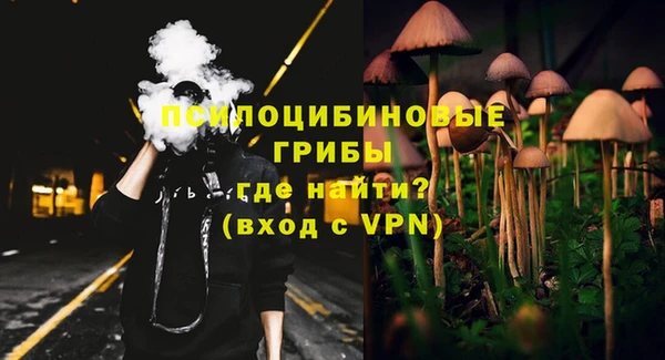 бошки Карпинск