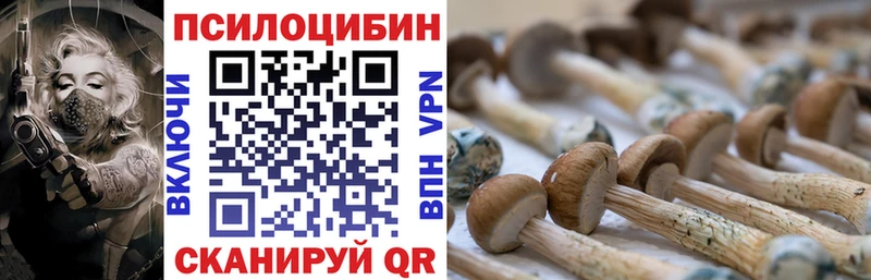 Галлюциногенные грибы прущие грибы  Купить закладки  Янаул 